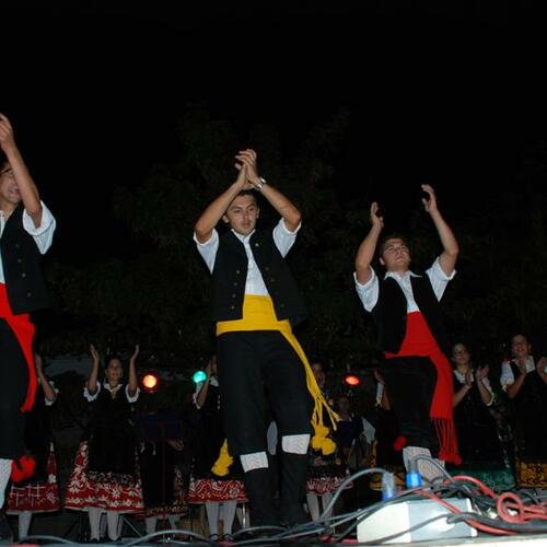 fiestastoros2008 5