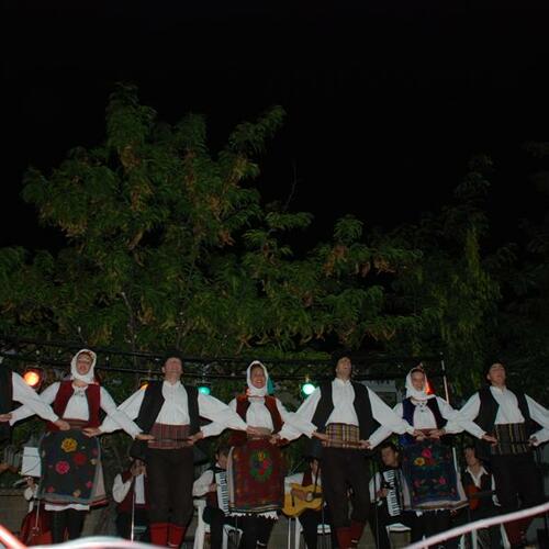 fiestastoros2008 7