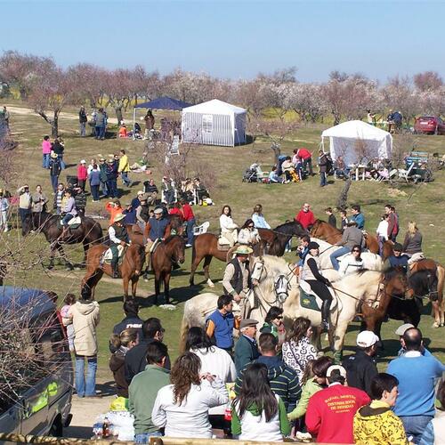 almendros2009 10