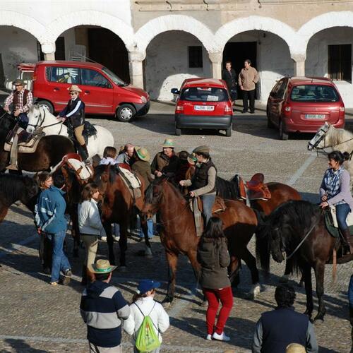 almendros2009 21