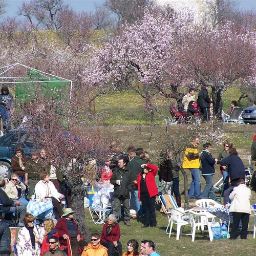 almendros2009 3