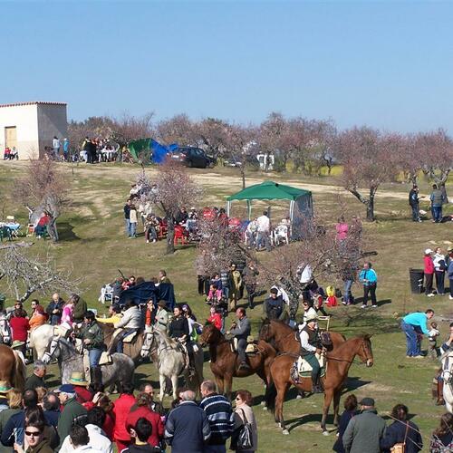 Toda  la gente en el tapao