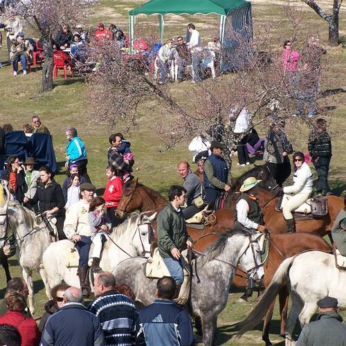 almendros2009 7