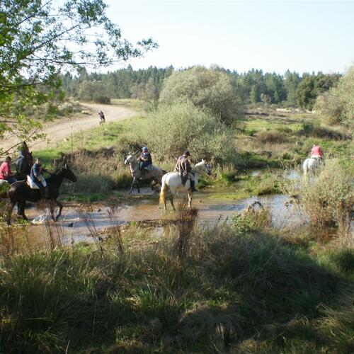 ruta de la lana 2009 2