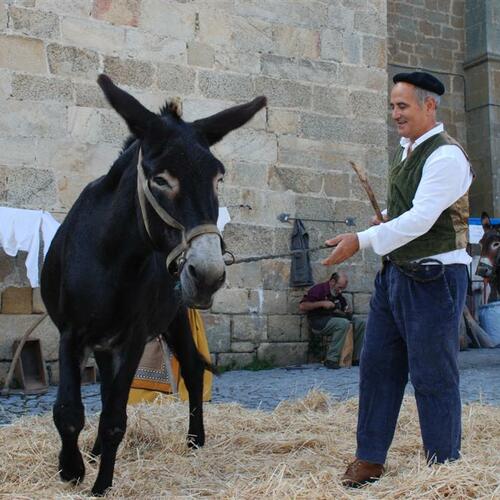 feria2009 18