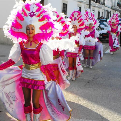 carnavales 2010 038 custom