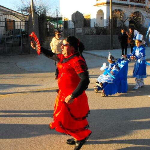 carnavales 2010 089 custom