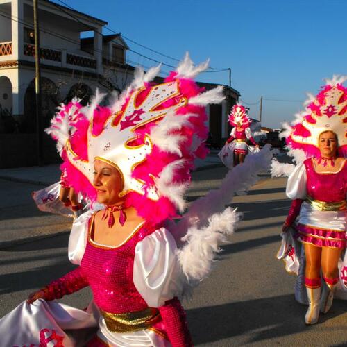 carnavales 2010 104 custom