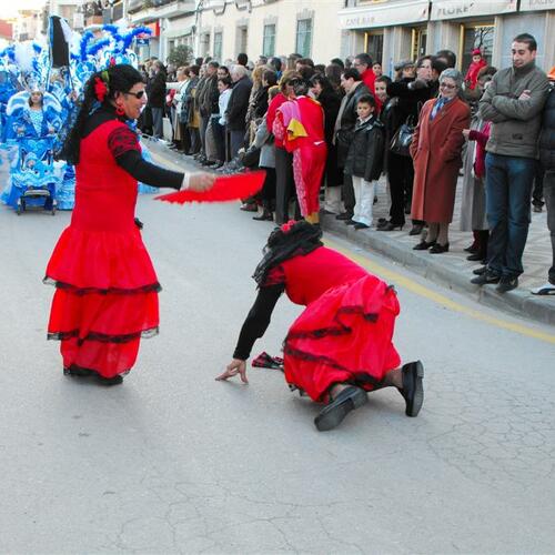 carnavales 2010 123 custom 0