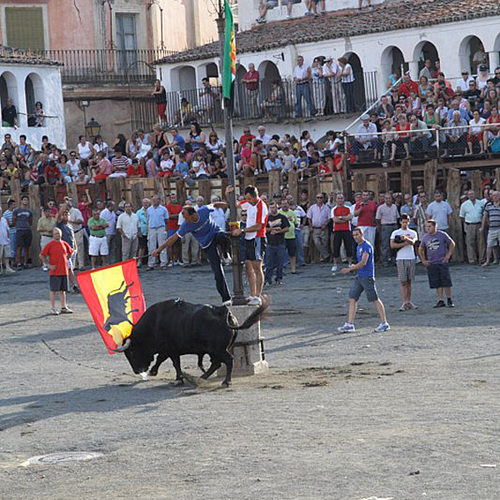 Toreu de altura