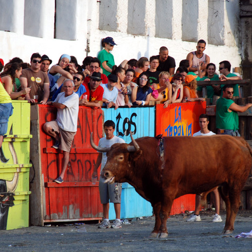 Dia 17 de Agosto de 2010