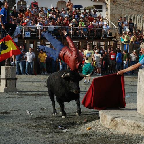 toros20y21082010