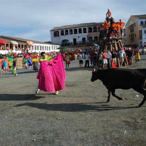 toros20y21082010 42