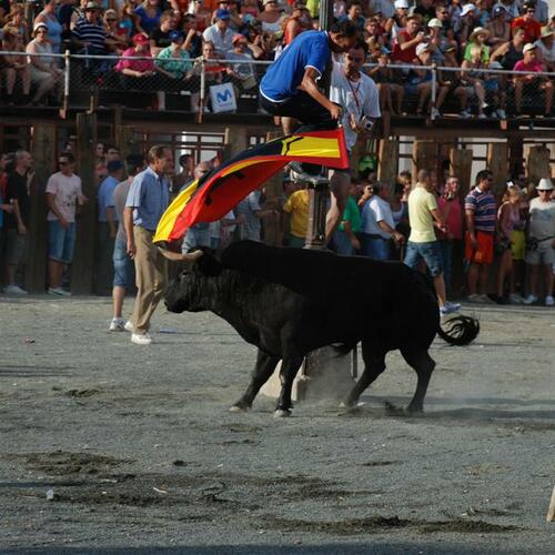 toros20y21082010 47