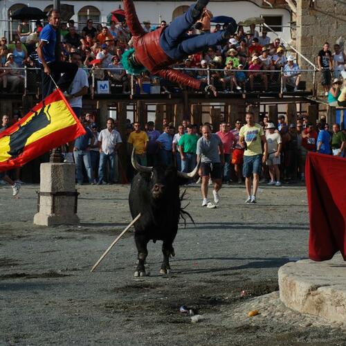 toros20y21082010 51