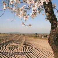 Concurso fotografico almendro en flor