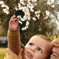 Concurso fotografico almendro en flor 25