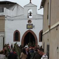 2012 procesion del burrinu