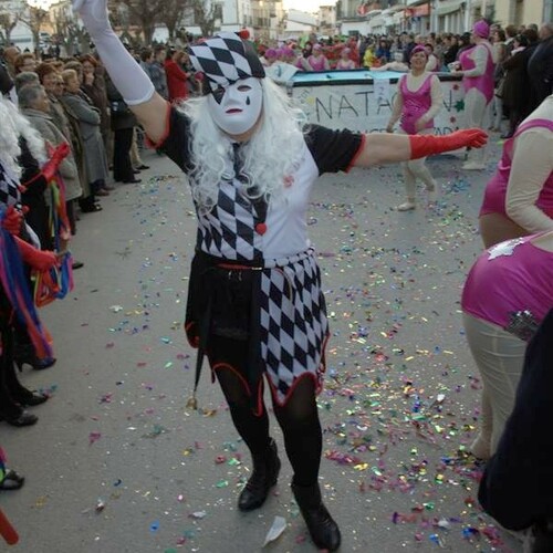 carnaval 2013 206