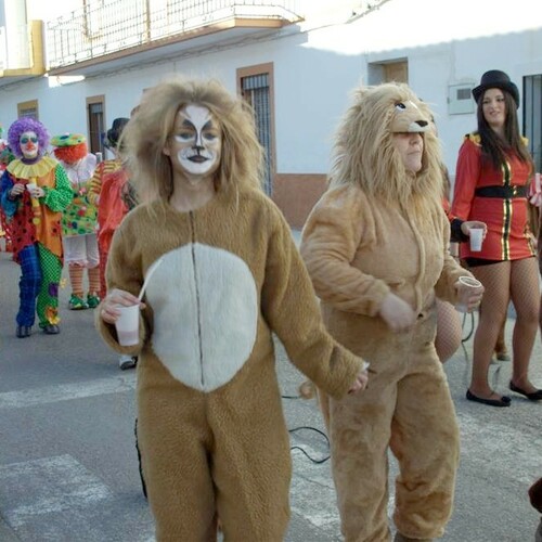 carnaval 2013 389