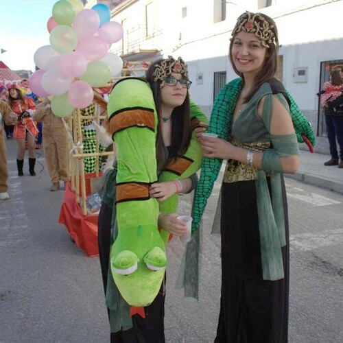 carnaval 2013 390