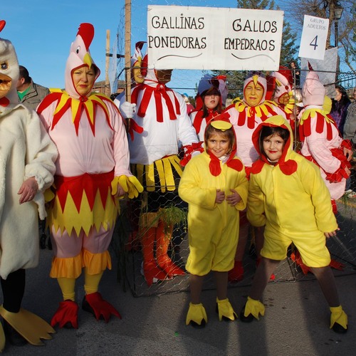 Carnavalis2013-1-22