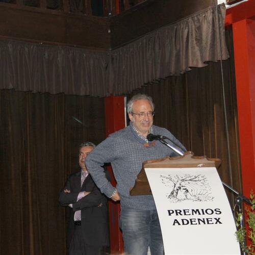 premios adenex 2012 11