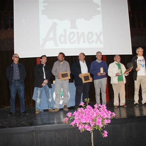 premios adenex 2012 13