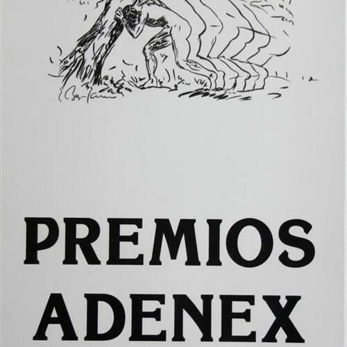 premios adenex 2012 20