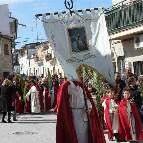 domingo de ramos 24