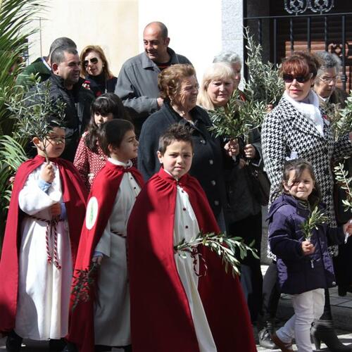 Domingo de ramos 26