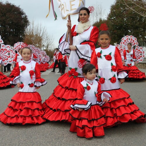 carnavales 2015 157