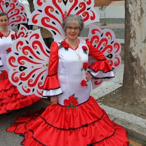 carnavales 2015 160