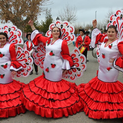 carnavales 2015 171