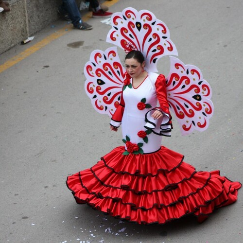 carnavales 2015 233