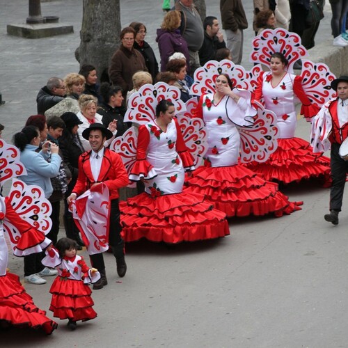 carnavales 2015 237