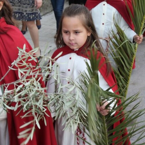 procesion burrino 2015 54