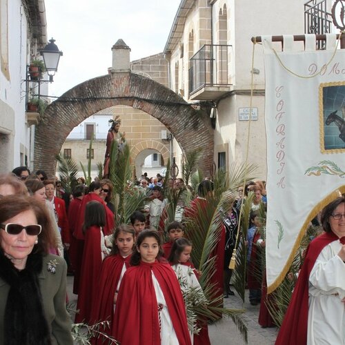 procesion burrino 2015 98