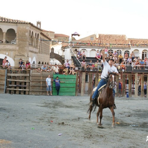 exibicion ecuestre 113