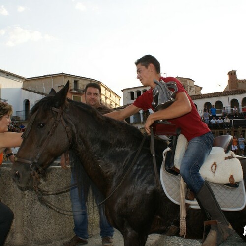 exibicion ecuestre 134