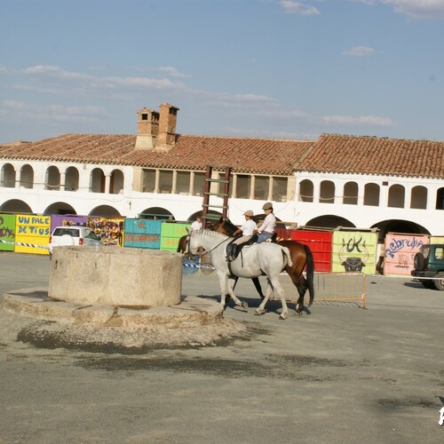 exibicion ecuestre 163