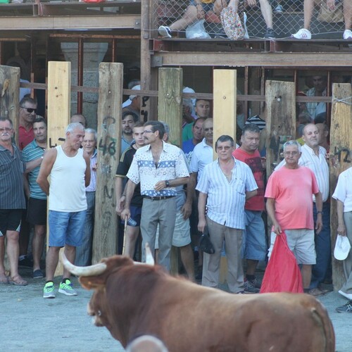 toros jueves 19 08 2016 52