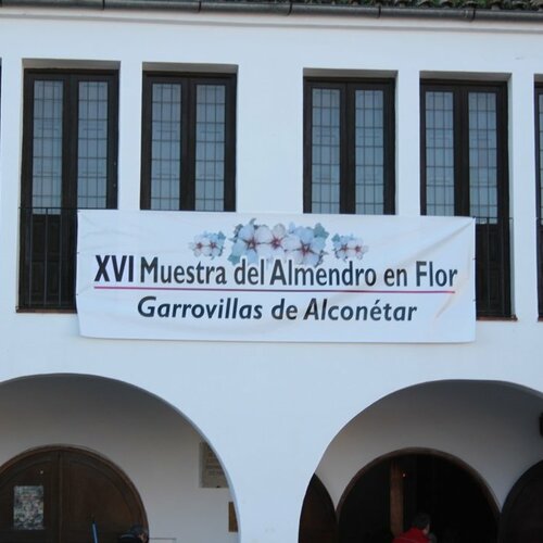 xvi edicion almendro en flor 2016 2