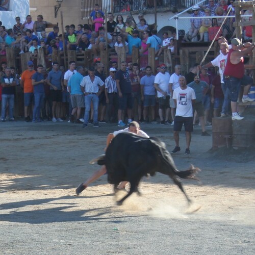 2022-toros-19-agosto-10