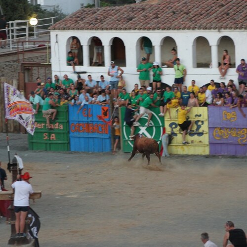 2022-toros-21-agosto-85