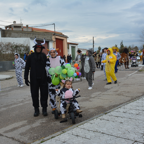 Carnavalis2025-24