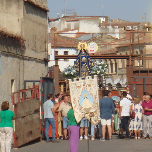 DSC01631