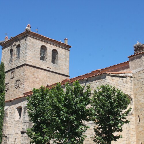 Comuniones_2026__65