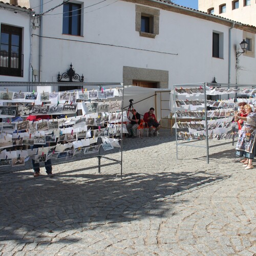 Feria_San_Mateo_2026__17