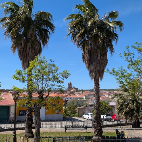 PXL_20260329_121310013